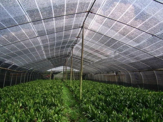 2.5mm Agriculture Polyester Wire Greenhouse High Strength Monofilament Cable